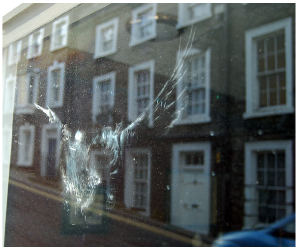 Is it an omen when a bird hits your window?